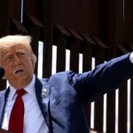 trump forgetting how to do a nazi salute