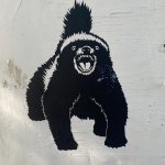 honeybadger