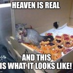 I've been to possum heaven! | HEAVEN IS REAL; AND THIS
IS WHAT IT LOOKS LIKE! | image tagged in possum,memes,danishes,office treats,out of control,welcome to heaven | made w/ Imgflip meme maker