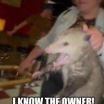 Bouncer's life ain't easy | CALL HIM! HE'LL VOUCH FOR ME! I KNOW THE OWNER! | image tagged in possum,entitled,name dropping,memes,kicked out,bar jokes | made w/ Imgflip meme maker