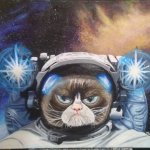 Grumpy cat space