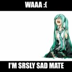 I just wanna cry bro | WAAA :(; I'M SRSLY SAD MATE | image tagged in crying miku hatsune | made w/ Imgflip meme maker