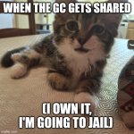 Oh | WHEN THE GC GETS SHARED; (I OWN IT, I'M GOING TO JAIL) | image tagged in smug cat | made w/ Imgflip meme maker