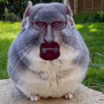 Chinchilla White