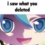 mikudayo saw what you deleted