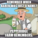 Pepperidge Farm Remembers | REMEMBER WHEN KAREN WAS JUST A NAME? PEPPERIDGE FARM REMEMBERS. | image tagged in memes,pepperidge farm remembers | made w/ Imgflip meme maker