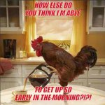 coffee chicken | HOW ELSE DO YOU THINK I’M ABLE; TO GET UP SO EARLY IN THE MORNING?!?! | image tagged in coffee chicken | made w/ Imgflip meme maker