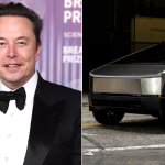 Musk and truck