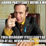 Breaking Bad Saul Goodman | IF THE LABOUR PARTY CAN'T DEFINE A WOMAN... THEN MISOGAMY ITSELF CAN'T BE DEFINED AT ALL, NEVER MIND AS TERRORISM... | image tagged in breaking bad saul goodman | made w/ Imgflip meme maker