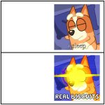 I sleep REAL BISCUITS meme