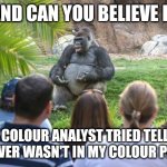 Lecturing Gorilla  | AND CAN YOU BELIEVE IT; THE COLOUR ANALYST TRIED TELLING ME SILVER WASN'T IN MY COLOUR PALETTE | image tagged in lecturing gorilla | made w/ Imgflip meme maker