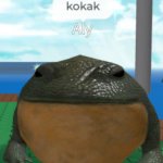 kokak meme