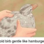 hold gentle like hamburger