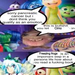 kirno | Cirno; Freezing frogs | image tagged in sorry pancreatic cancer,touhou,cirno,cancer,frogs,inside out | made w/ Imgflip meme maker