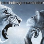 it does feel like that | How it feels to challenge a moderator's authority | image tagged in lion roars at monkey,memes,power,what gives people feelings of power,why are you reading this | made w/ Imgflip meme maker