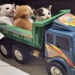 cats on truck template