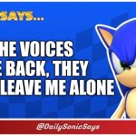 Sonic Says #12 (@DailySonicSays on Twitter/X) | THE VOICES ARE BACK, THEY WON'T LEAVE ME ALONE | image tagged in sonic says | made w/ Imgflip meme maker