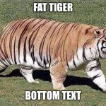 Tony the Diabetic Tiger | FAT TIGER; BOTTOM TEXT | image tagged in tony the diabetic tiger,tigers,bottom text,stop reading the tags | made w/ Imgflip meme maker