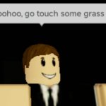 Oh boohoo, go touch some grass meme