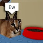 Floppa cube say "Ew" to this red bowl meme