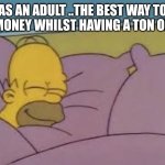 how i sleep homer simpson | AS AN ADULT ..THE BEST WAY TO SAVE MONEY WHILST HAVING A TON OF FUN... | image tagged in how i sleep homer simpson | made w/ Imgflip meme maker