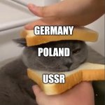 Pressed together | POLAND; GERMANY; USSR | image tagged in cat sandwich | made w/ Imgflip meme maker