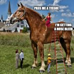 Lofty Moral Opinions | PASS ME A TISSUE; I'M GETTING A NOSE BLEED | image tagged in high horse | made w/ Imgflip meme maker