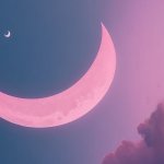 Pink Moon | Soul Of Pink