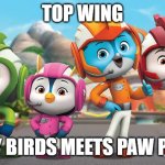 Top Wing is like PAW Patrol but birds | TOP WING; ANGRY BIRDS MEETS PAW PATROL | image tagged in memes,topwing,top wing,angrybirds,angry birds,funny | made w/ Imgflip meme maker