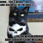 Punisher cat | HMMM… THAT’S WEIRD… FOR SOME REASON ALL OF THE DOGS; IN THE NEIGHBORHOOD HAVE SUDDENLY GONE MISSING… | image tagged in punisher cat | made w/ Imgflip meme maker