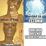 I wanna there so badly | ESTONIA; DUOLINGO DOES NOT TEACH ESTONIAN; DUOLINGO | image tagged in what if you wanted to go to heaven | made w/ Imgflip meme maker