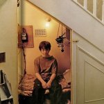 Harry Under the Stairs