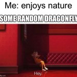 Dragon flies just be reckless of their surrounding | Me: enjoys nature; SOME RANDOM DRAGONFLY: | image tagged in vector hey,nature,memes,so true memes,funny,relatable | made w/ Imgflip meme maker