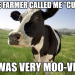 Not Horsing Around... | THE FARMER CALLED ME "CUTE"; I WAS VERY MOO-VED | image tagged in cow,cute,farmer | made w/ Imgflip meme maker