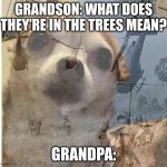 PTSD Chihuahua | GRANDSON: WHAT DOES THEY'RE IN THE TREES MEAN? GRANDPA: | image tagged in ptsd chihuahua | made w/ Imgflip meme maker