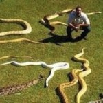 guy with snakes