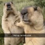 Let him cook