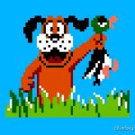 Duck hunt