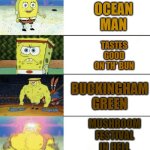 Ween songs brownness scale | STAY FOREVER; OCEAN MAN; TASTES GOOD ON TH' BUN; BUCKINGHAM GREEN; MUSHROOM FESTIVAL IN HELL; THE STALLION PT. 1 | image tagged in 6 panel buff spongebob,ween,boognish | made w/ Imgflip meme maker