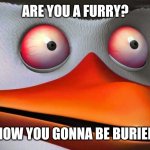 "image title" | ARE YOU A FURRY? NOW YOU GONNA BE BURIED | image tagged in red eyes penguin skipper | made w/ Imgflip meme maker