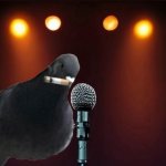 Pidgeon Stand-Up