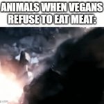 You're not changing anything, pal. | ANIMALS WHEN VEGANS REFUSE TO EAT MEAT: | image tagged in gifs,memes,funny | made w/ Imgflip video-to-gif maker