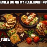 I dont think I can handle much more | "I HAVE A LOT ON MY PLATE RIGHT NOW"; MY PLATE: | image tagged in mexican food | made w/ Imgflip meme maker