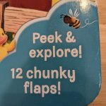 Peek and explore 12 twelve chunky flaps