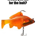 would you fall for the bait.