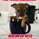 Dog with Coffee | FOR THOSE MORNINGS; WHEN YOU NEED THAT “SPECIAL BLEND”. | image tagged in dog with coffee | made w/ Imgflip meme maker