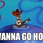 Sandy Cheeks Home