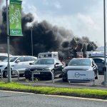 t-rex causes fire at car showroom