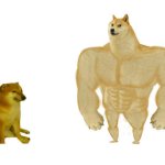 Small Dog vs Chad Dog