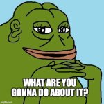 what are you gonna do about it? | WHAT ARE YOU GONNA DO ABOUT IT? | image tagged in groyper | made w/ Imgflip meme maker